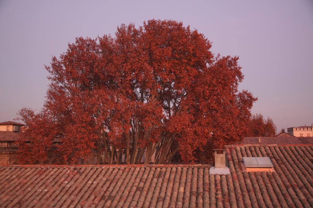 A La Terrasse D'Avignon Apartment Bagian luar foto